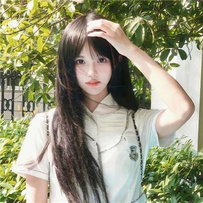 蓝百合